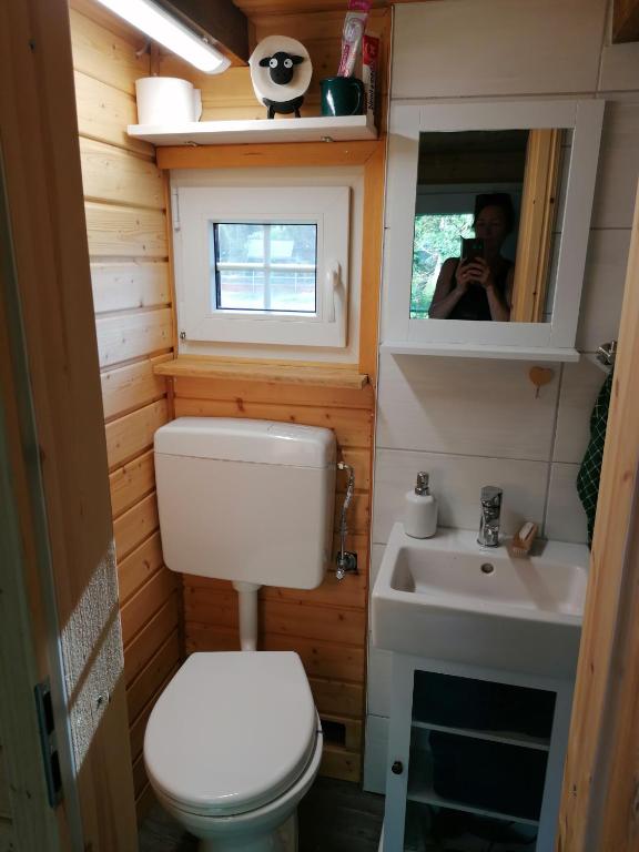 Koupelna v ubytování Weidmannsruh Natur pur - exklusives Tiny house