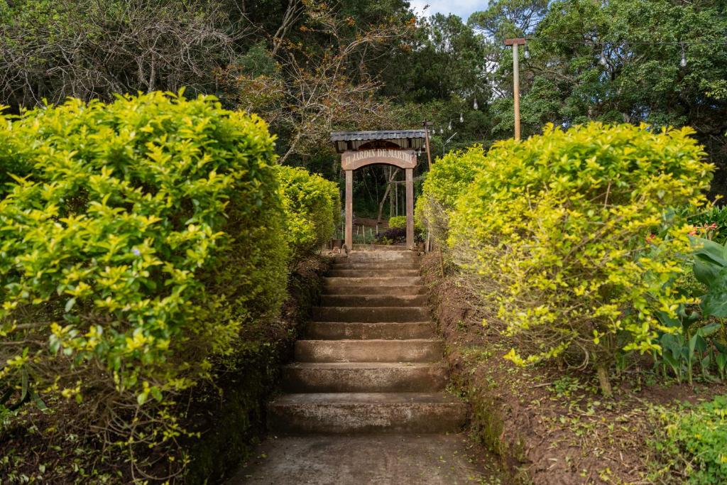 Κήπος έξω από το Cotan Ecolodge
