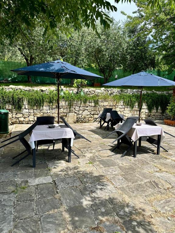 Zahrada ubytování Agriturismo Tassinaia