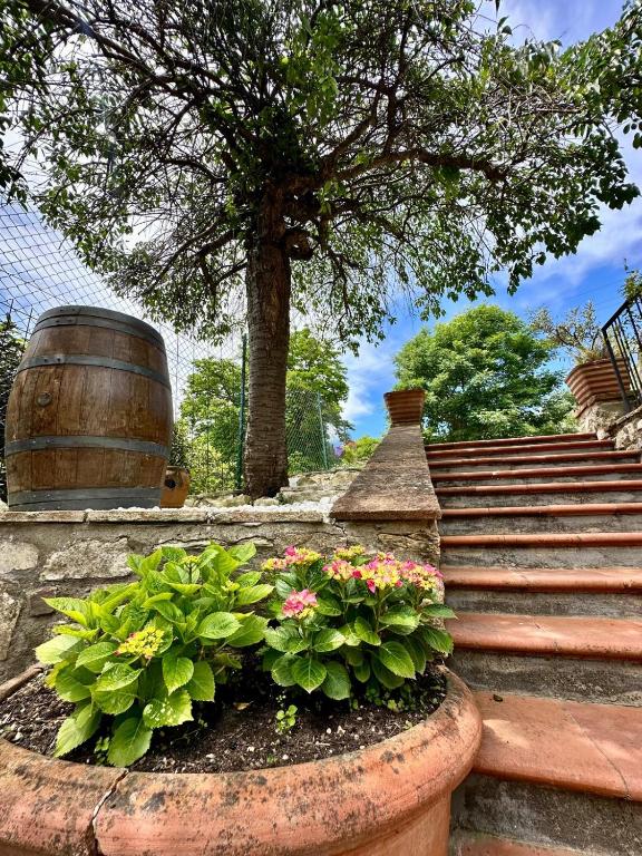 Zahrada ubytování Agriturismo Tassinaia
