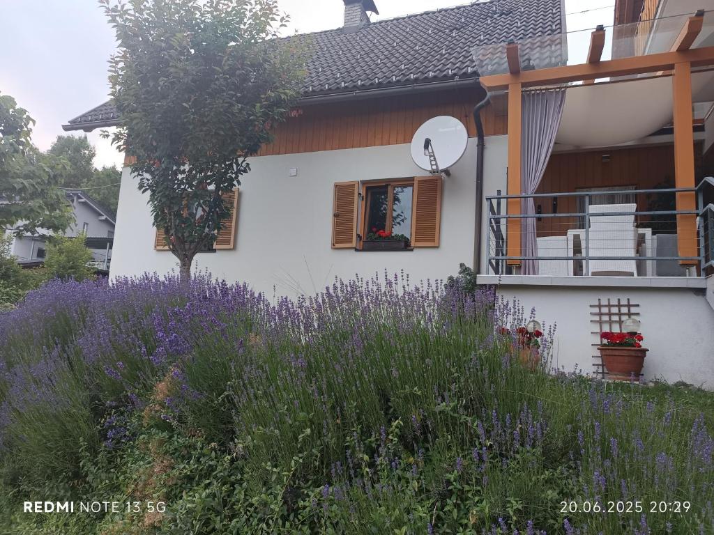 Zahrada ubytování Ferienhaus Familie Zimmermann