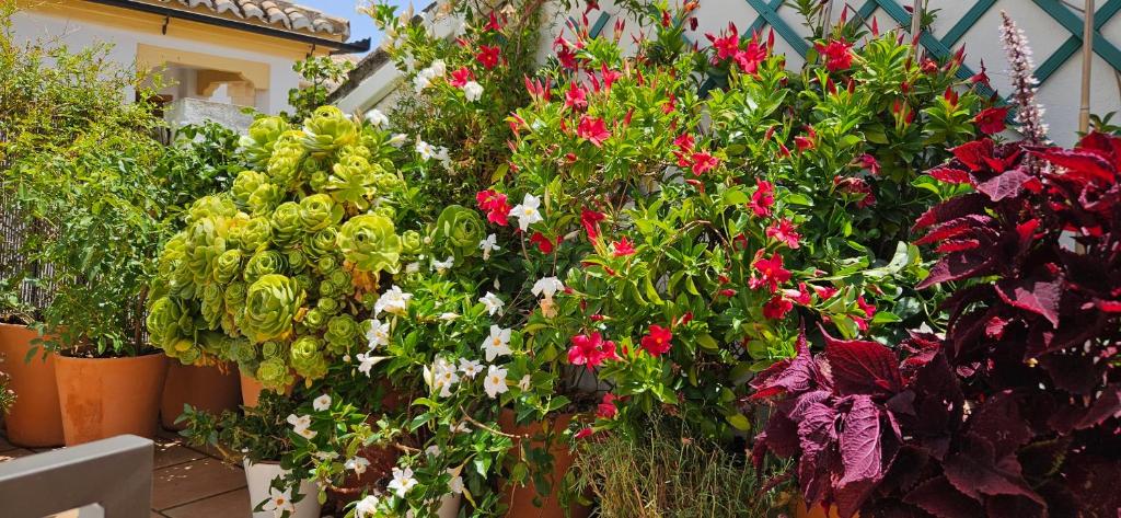 Apartamentos Los Descalzos Ángel With Private Terrace Free Parking - 5