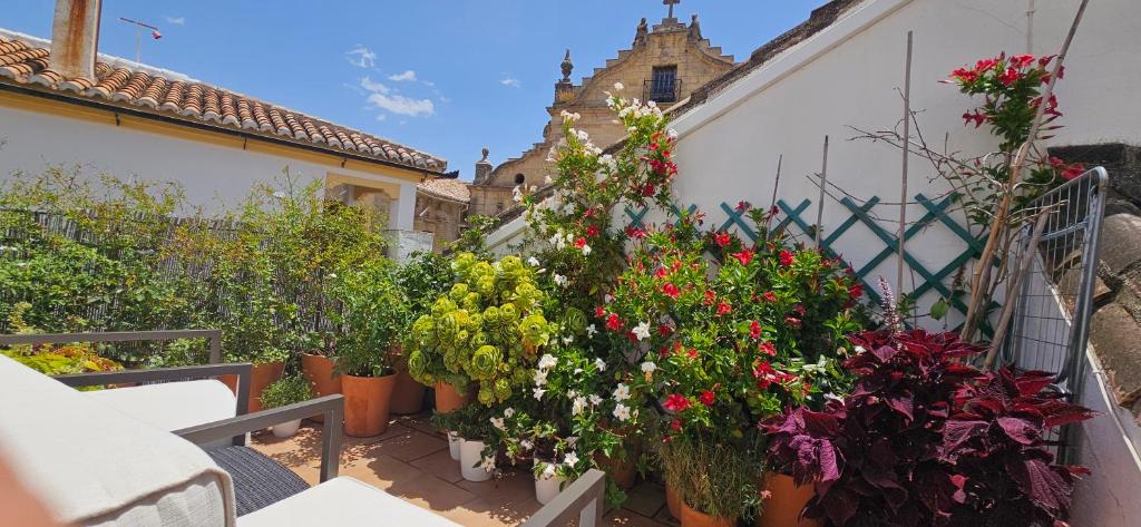 Apartamentos Los Descalzos Ángel With Private Terrace Free Parking - 4