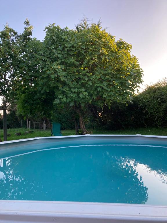 Gîte 10 personnes dans la Nature proche Océan Landes