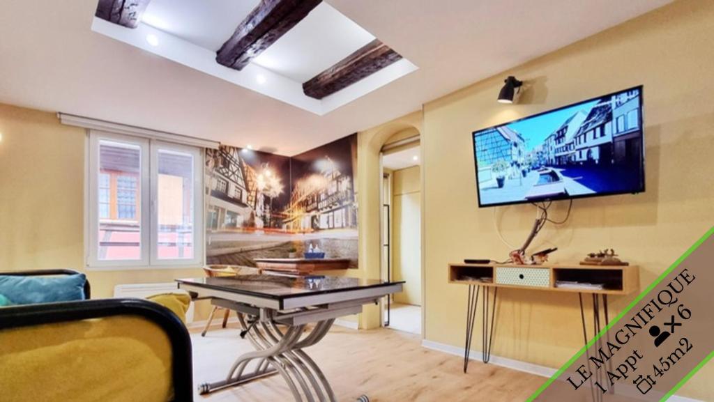 TV a/nebo společenská místnost v ubytování Splendide Appartement Barr - Route du Vins