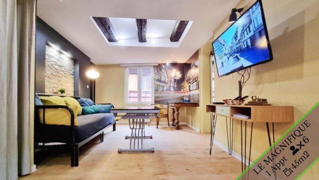 TV a/nebo společenská místnost v ubytování Splendide Appartement Barr - Route du Vins