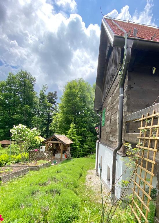 Vonkajšia záhrada v ubytovaní Apartments Montana