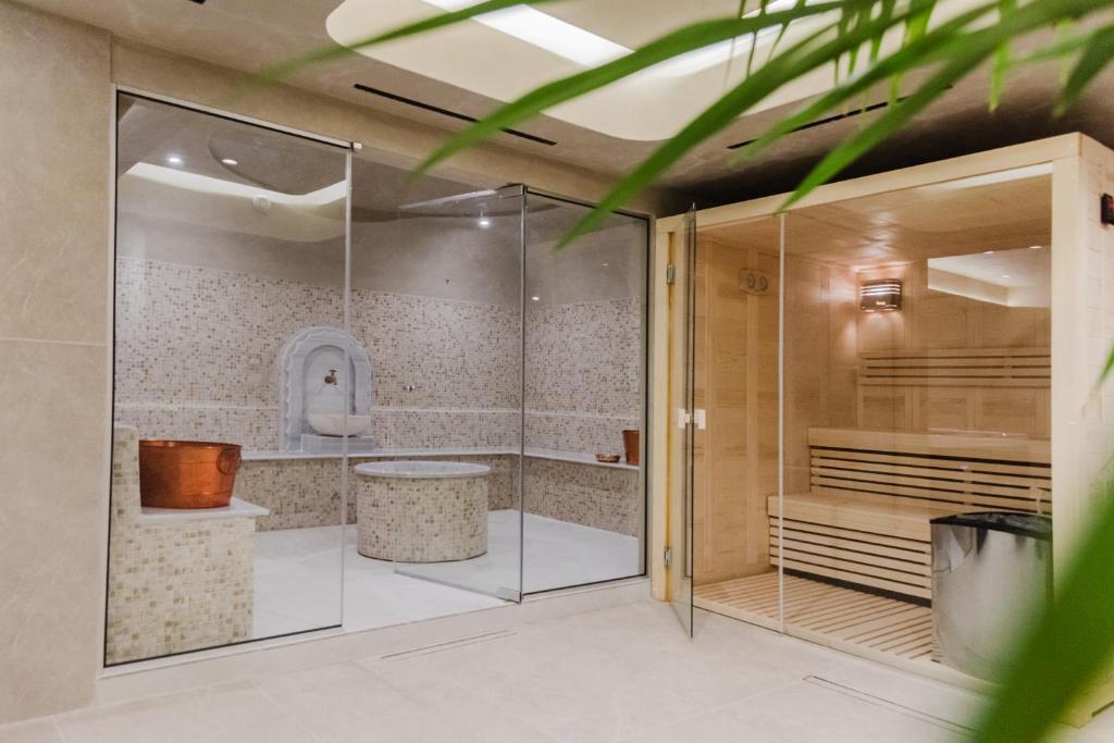 Koupelna v ubytování Evexia boutique hotel & Spa