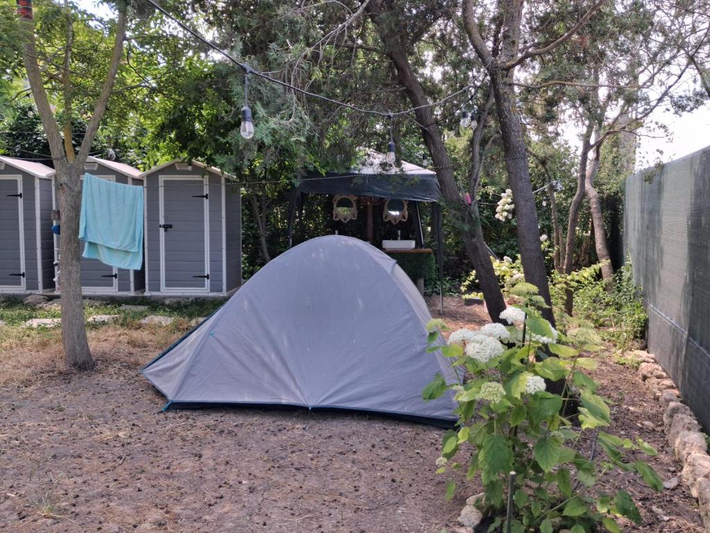 Zahrada ubytování Camping Curtea Pescărușului