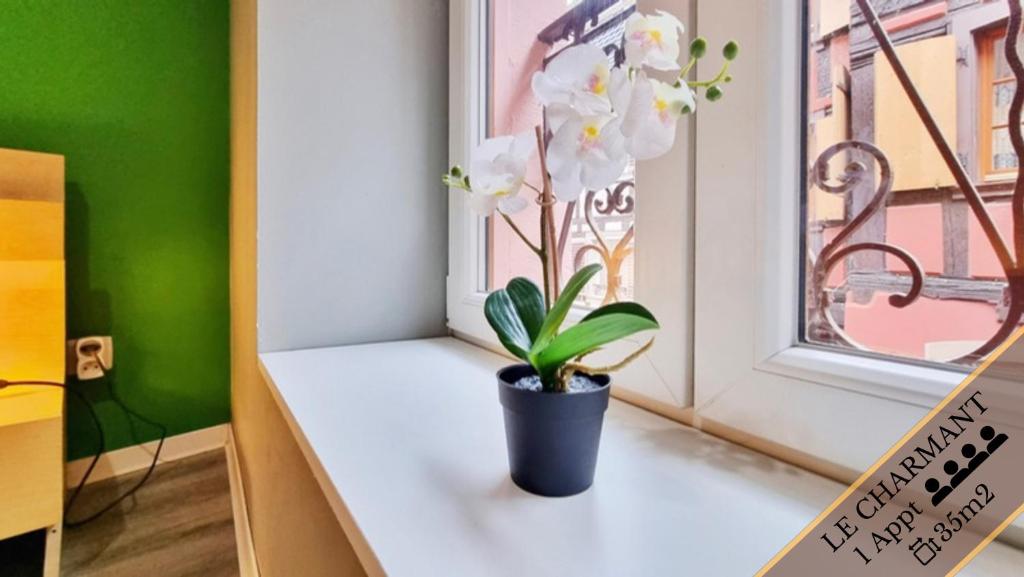 Fotografie z fotogalerie ubytování Splendide Appartement Barr - Route du Vins v destinaci Barr