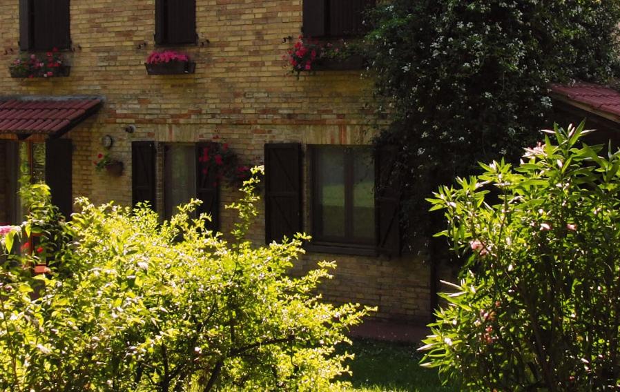 Zahrada ubytování B&B Lieti Colli