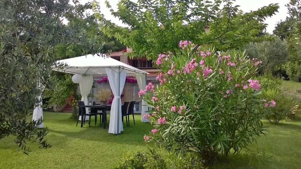 Zahrada ubytování B&B Lieti Colli