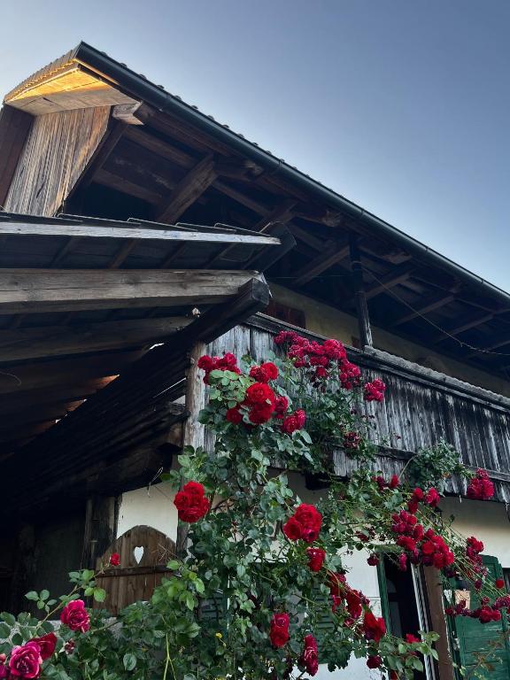 Budova, kde se hostel nachází