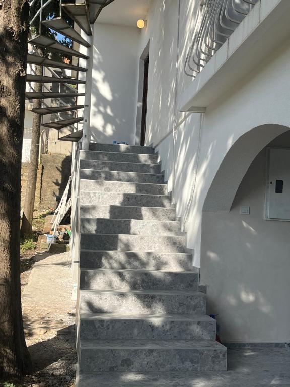 Fotografie z fotogalerie ubytování Mondeno apartments v destinaci Utjeha