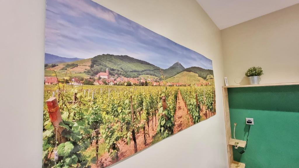 Splendide Studio Centre Colmar – photo 16