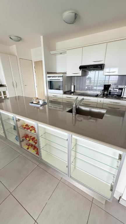Kuchyň nebo kuchyňský kout v ubytování Appartement de standing vue mer