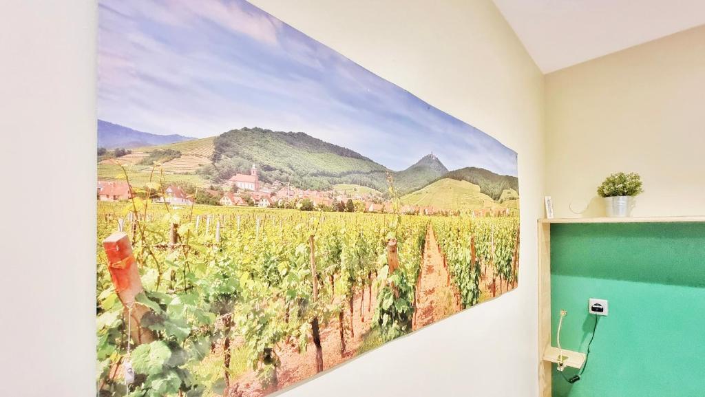 Splendide Studio Centre Colmar – photo 7