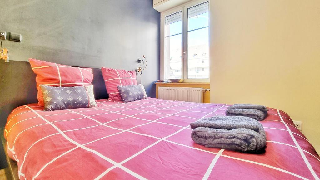 Splendide Studio Centre Colmar – photo 43