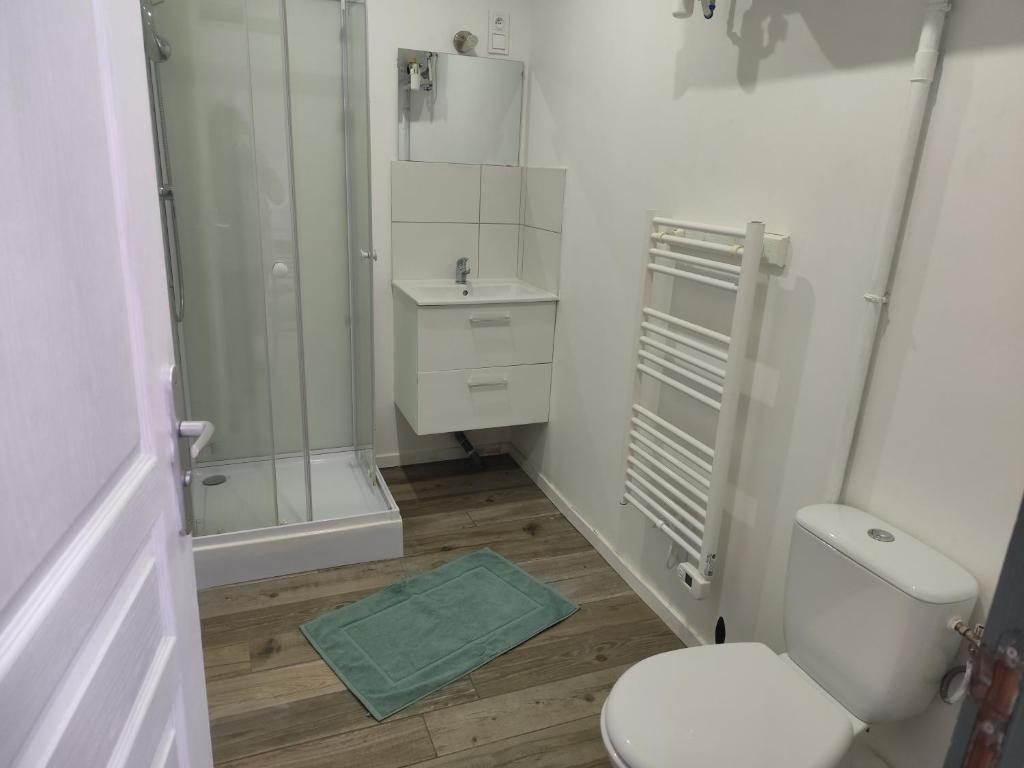 une salle de bain avec toilettes, douche et lavabo dans l'établissement Les petits gites Ernée, à Ernée