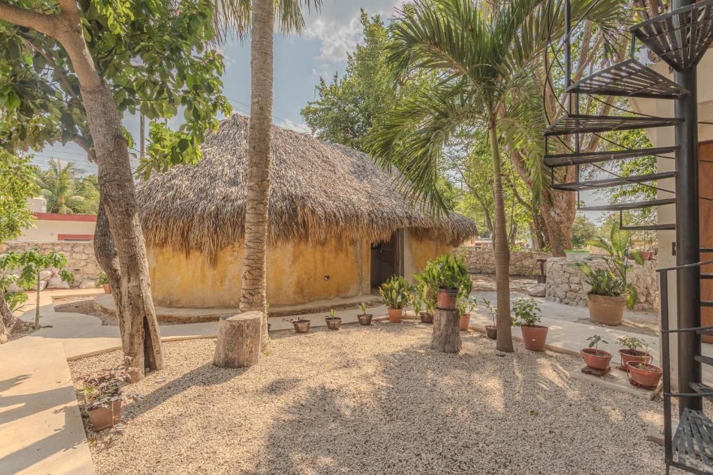 Zahrada ubytování Hostal Yum Kin