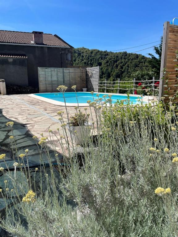 Location de charme au coeur de la Corse - Piscine privative - calme - nature
