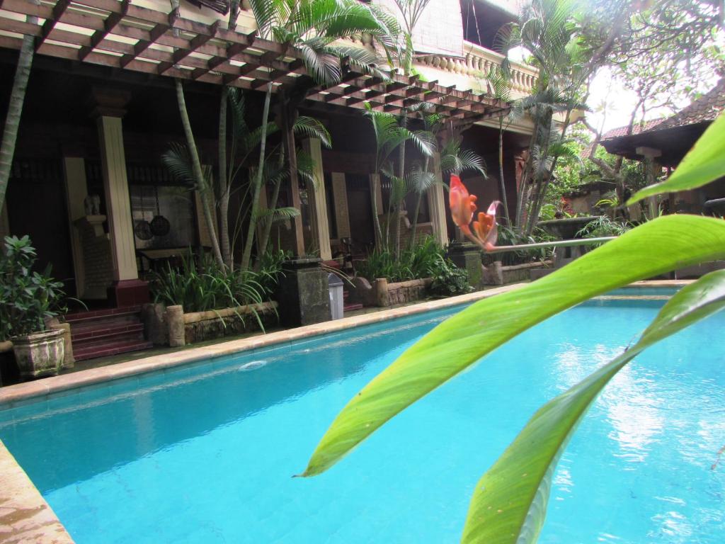 a swimming pool in front of a house with plants at Griya Ayu Inn in Sanur