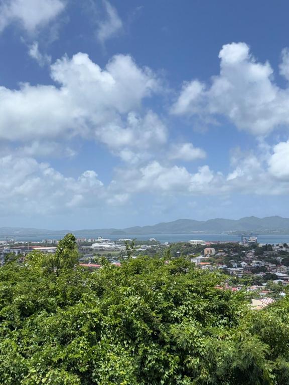 a view of a city with trees in the foreground at Appartement élégant avec vue et climatisation in Fort-de-France