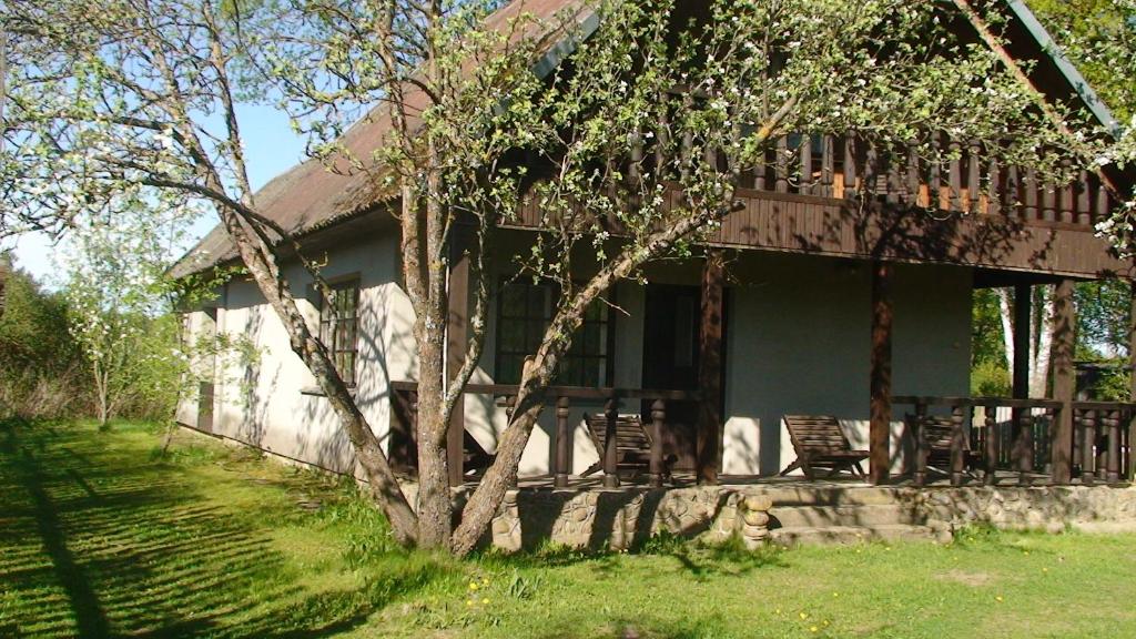 Zahrada ubytování Tammekännu Holiday House
