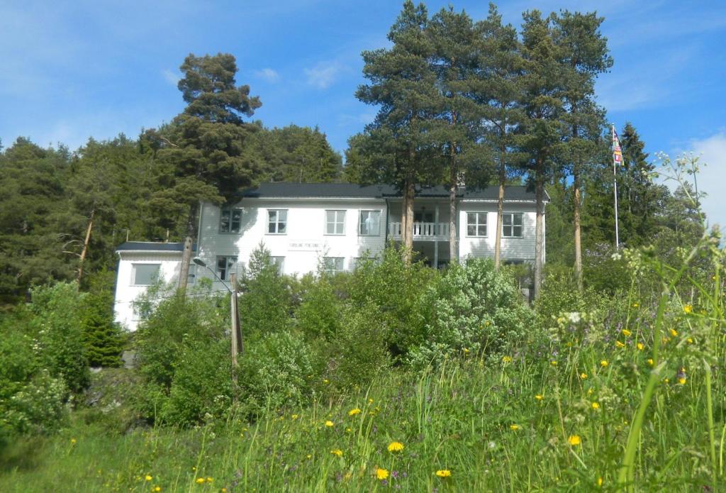 Zahrada ubytování Furulund Pensjonat