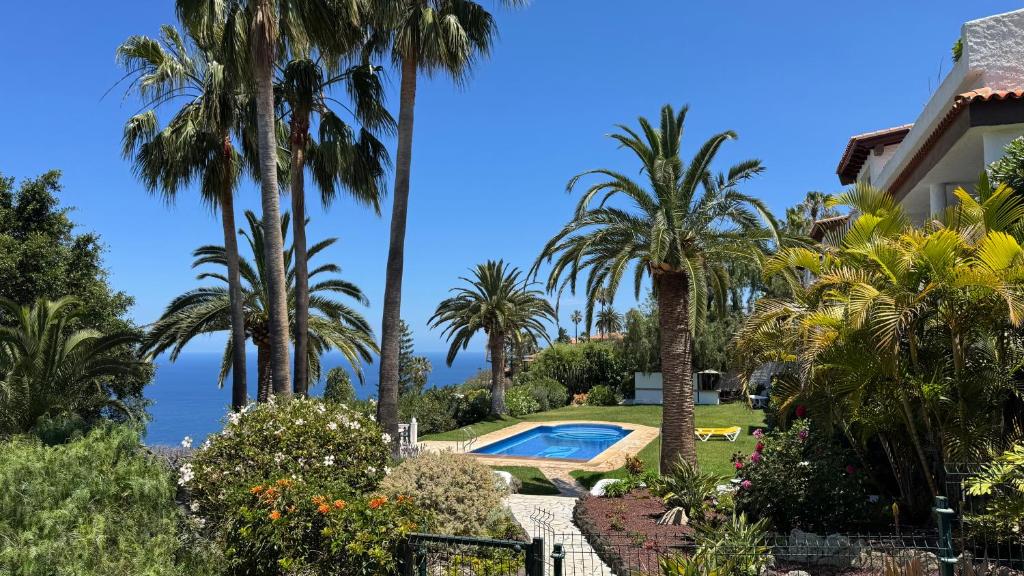 una villa con palmeras y piscina en Residencial Rolando, en La Matanza de Acentejo