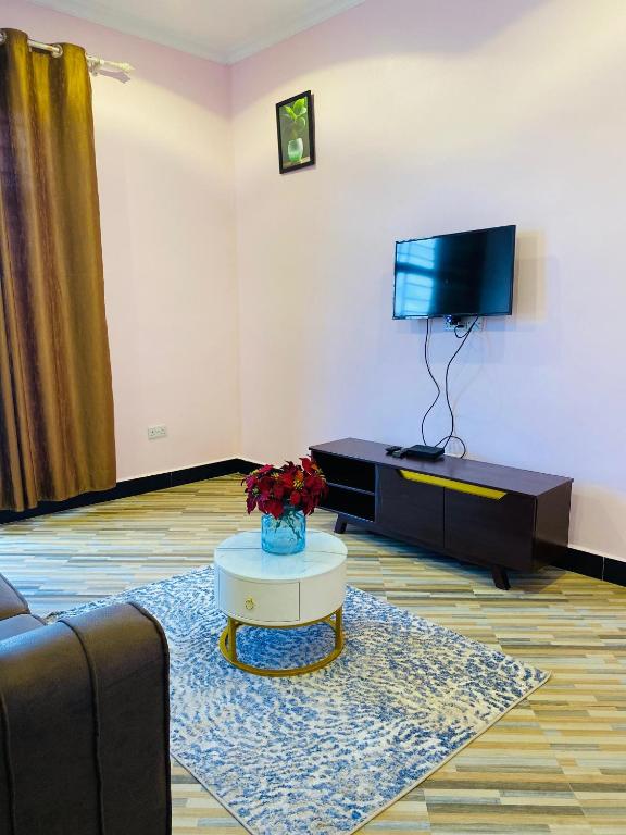 a living room with a couch and a tv at One bedroom Dodoma in Dodoma