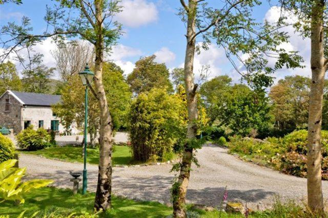 a tree lined road with a house and a street light at Errisbeg House B&B in Roundstone