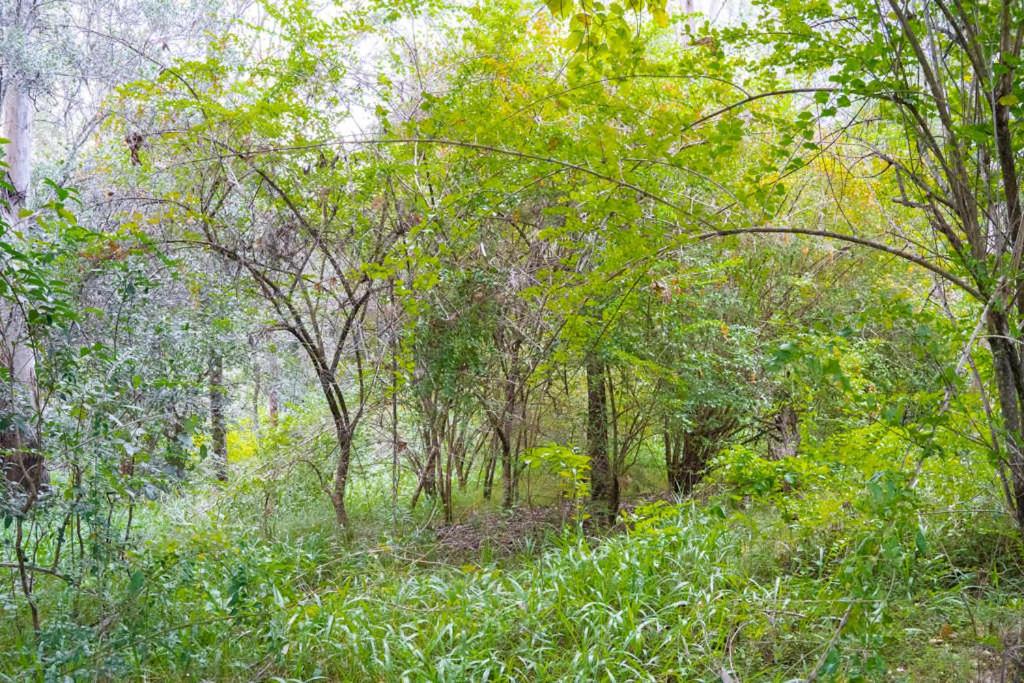 Paesaggio naturale nelle vicinanze della casa vacanze