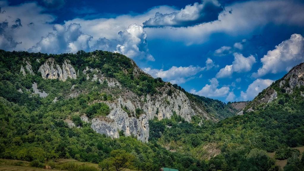 a mountain with trees and a blue sky with clouds at Transilvania Undiscovered - The Hobbit House in Ardeu