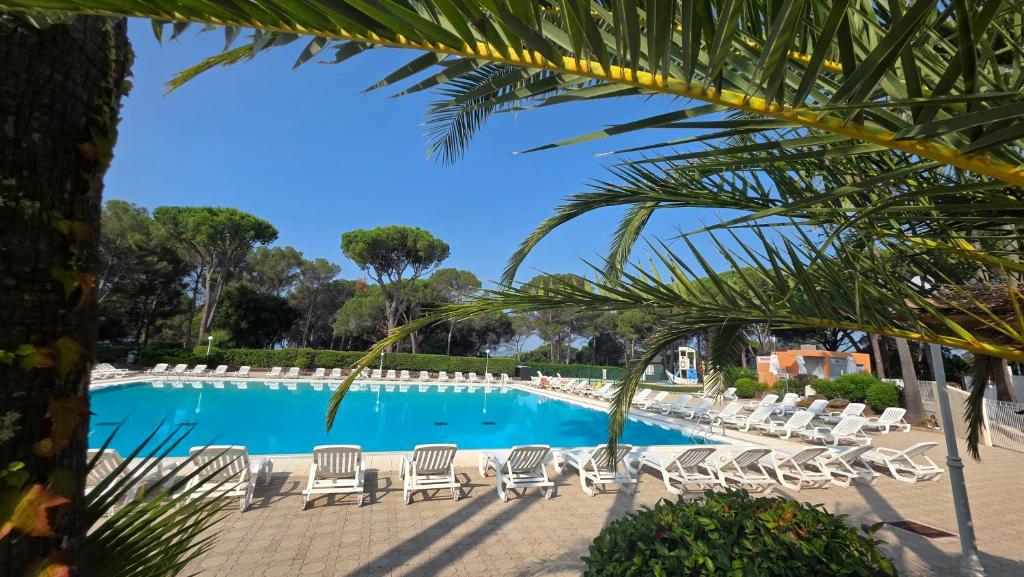 a swimming pool with lounge chairs and a palm tree at St RAPHAEL VALESCURE CASA in Saint-Raphaël