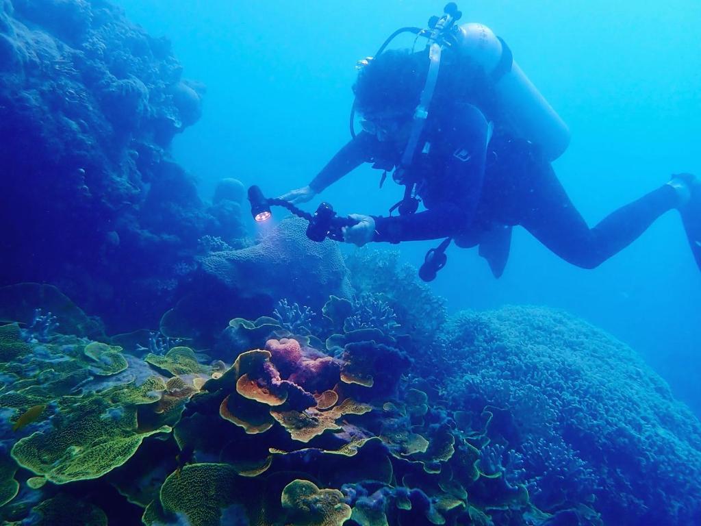 a person taking a picture of a coral reef at Sailing Vessel Summer Jo 2 Night Voyage, Pricing is for 2 Nights All Inclusive Food in Airlie Beach