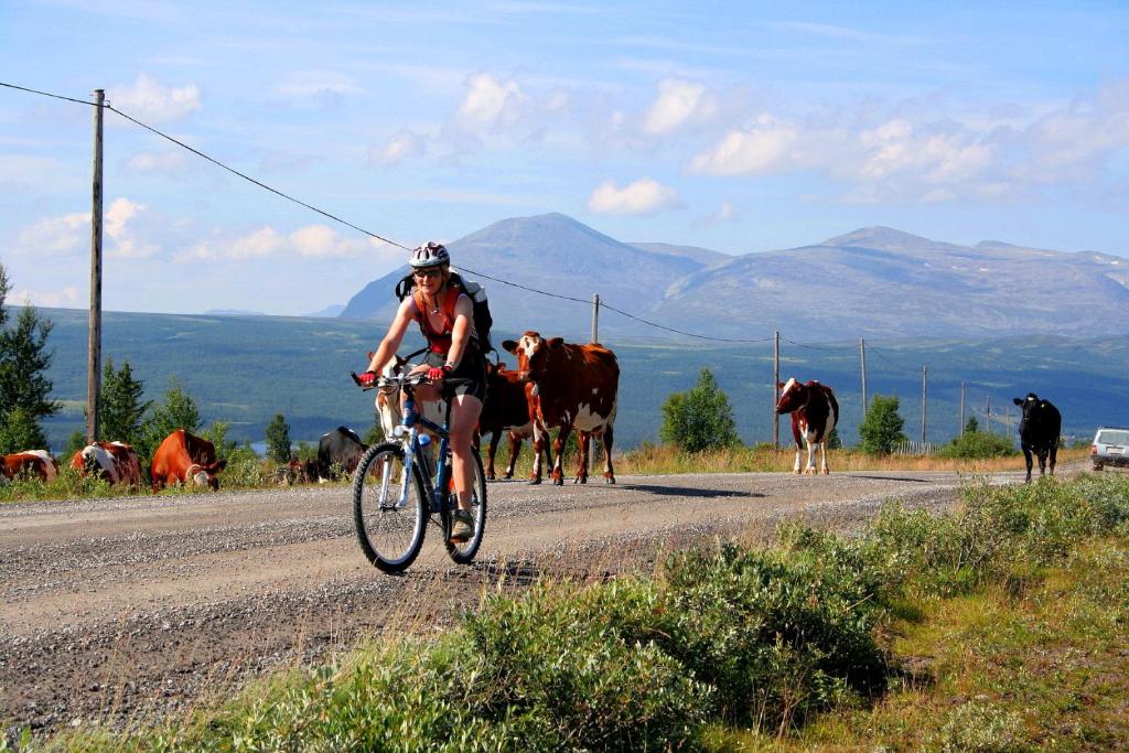 Hosté ubytování Furulund Pensjonat