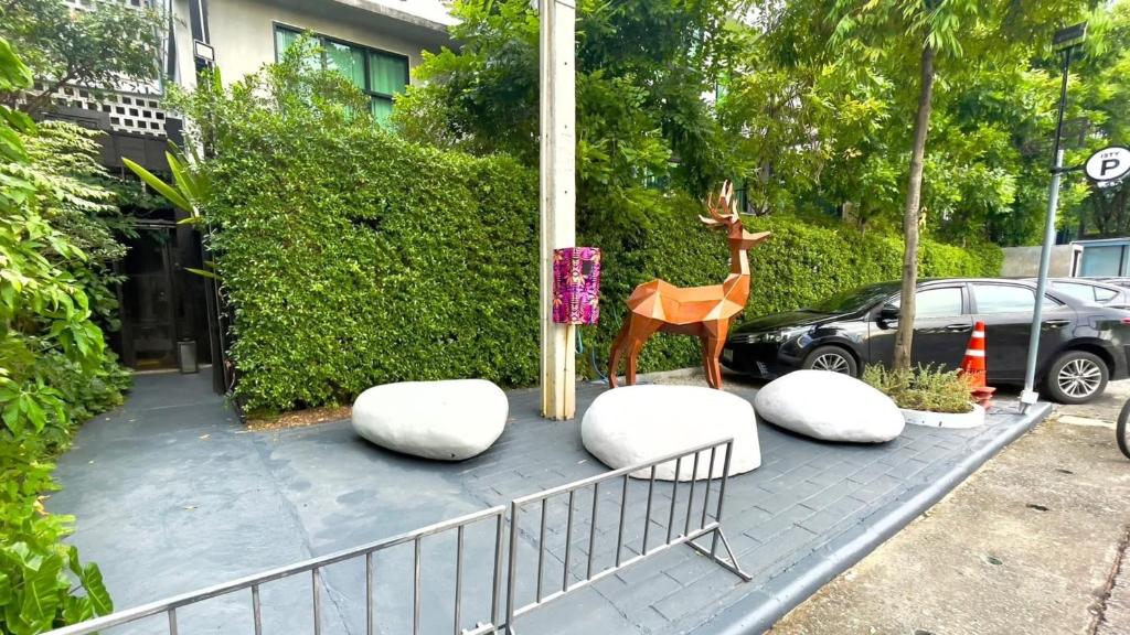 Zahrada ubytování ISTY Design Hotel