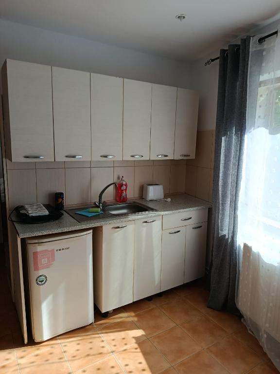 Kuchyň nebo kuchyňský kout v ubytování Complex Adela Transfăgărășan