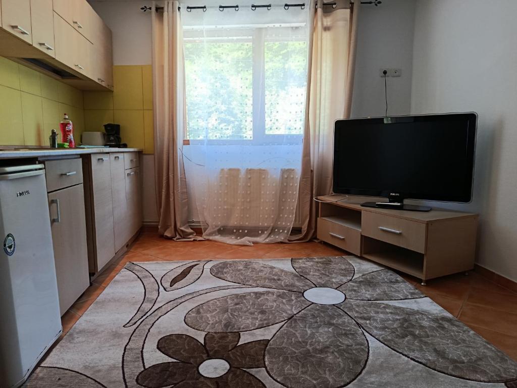 Kuchyň nebo kuchyňský kout v ubytování Complex Adela Transfăgărășan