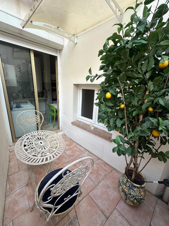 Photo de la galerie de l'établissement T3 Cannes Banane, à Cannes