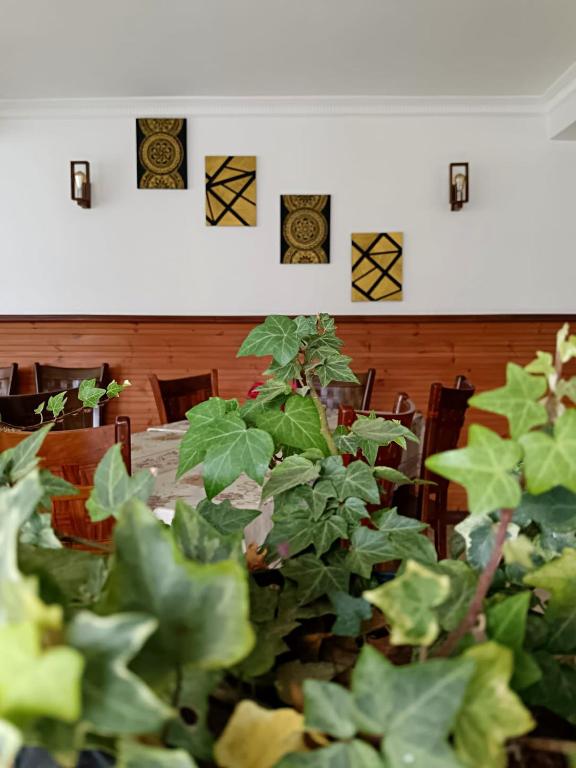 Fotografie z fotogalerie ubytování Havelock Inn v destinaci Nuwara Eliya