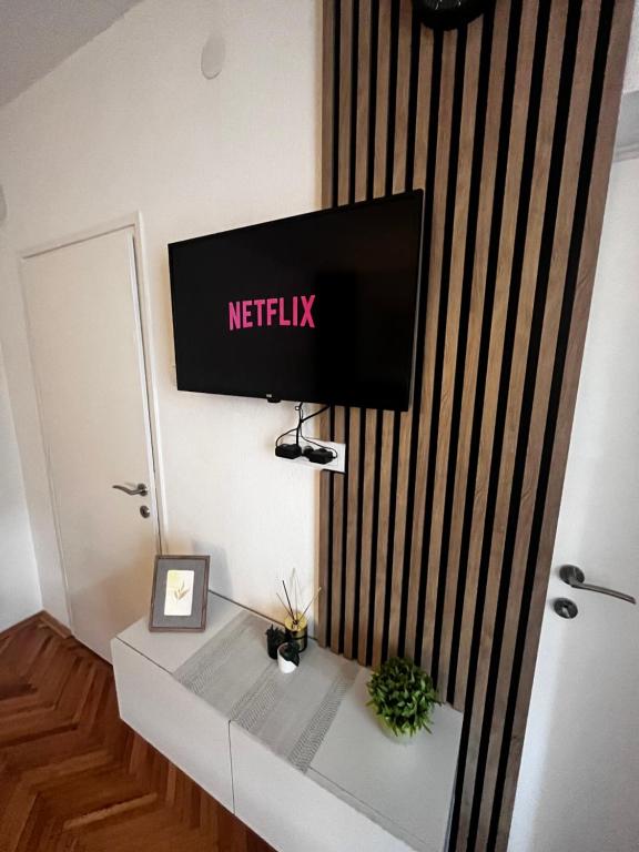 TV a/nebo společenská místnost v ubytování Apartman RISTIC