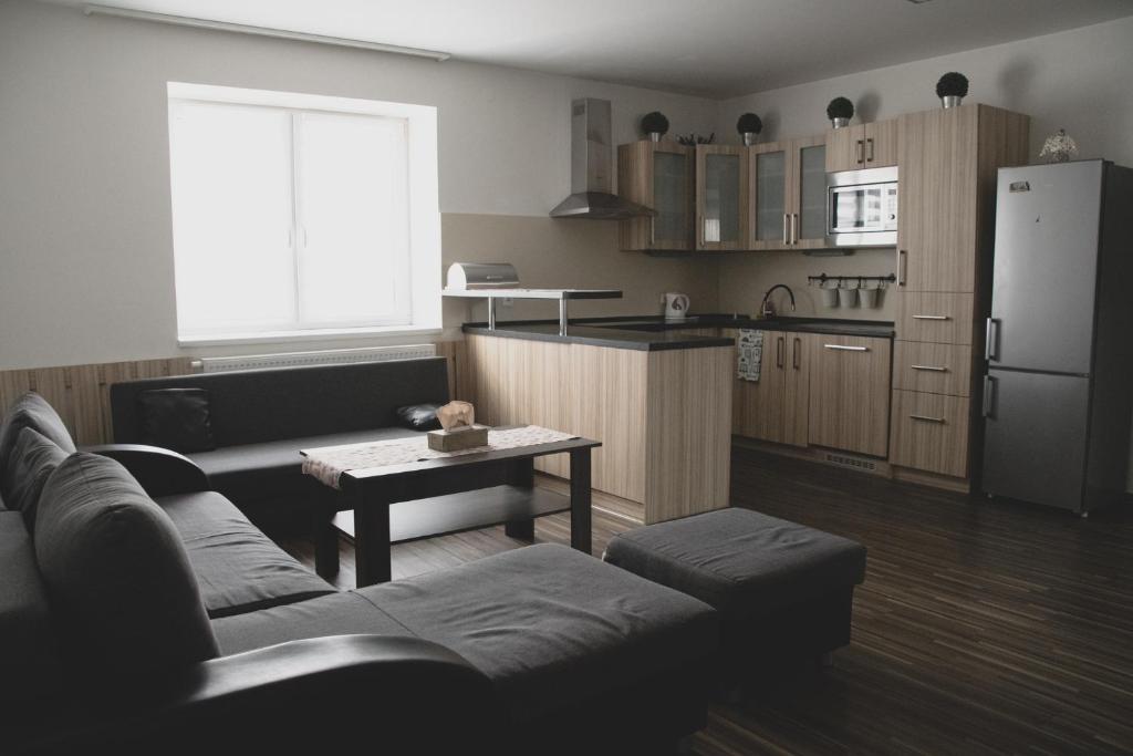 Kuchyň nebo kuchyňský kout v ubytování Apartmán Pasohlávky - rodinný komfort se dvěma ložnicemi a kuchyní