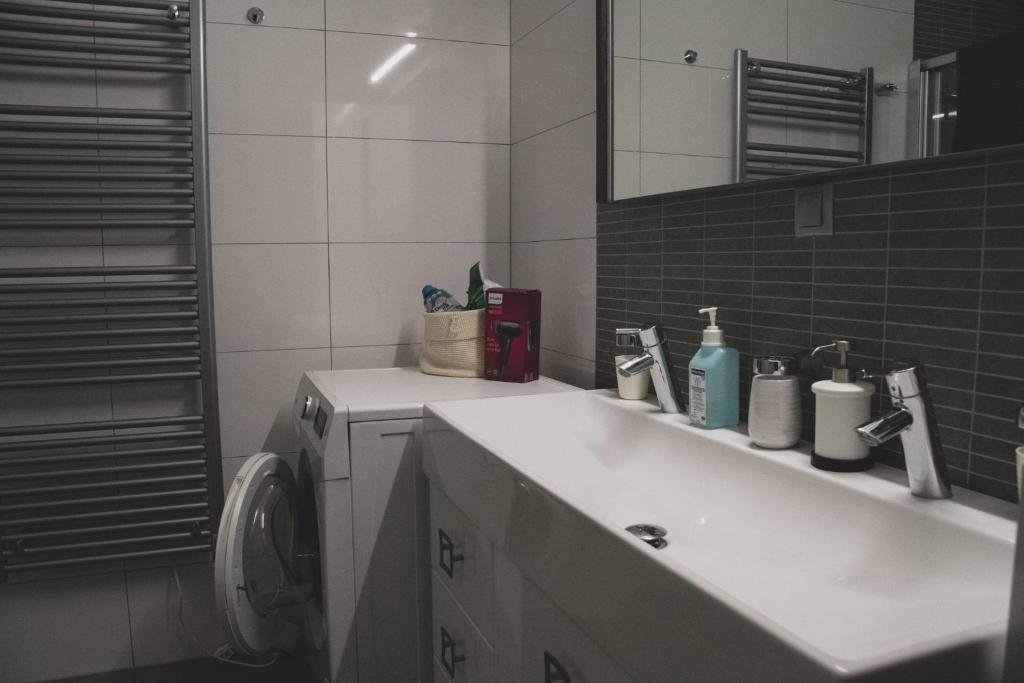 Koupelna v ubytování Apartmán Pasohlávky - rodinný komfort se dvěma ložnicemi a kuchyní