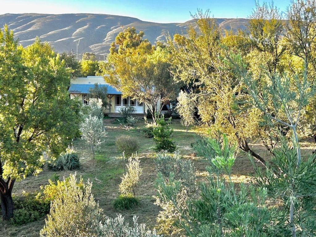 a house in the middle of a field with trees at The Happy Place, private cottage with rustic pool in Van Wyksdorp