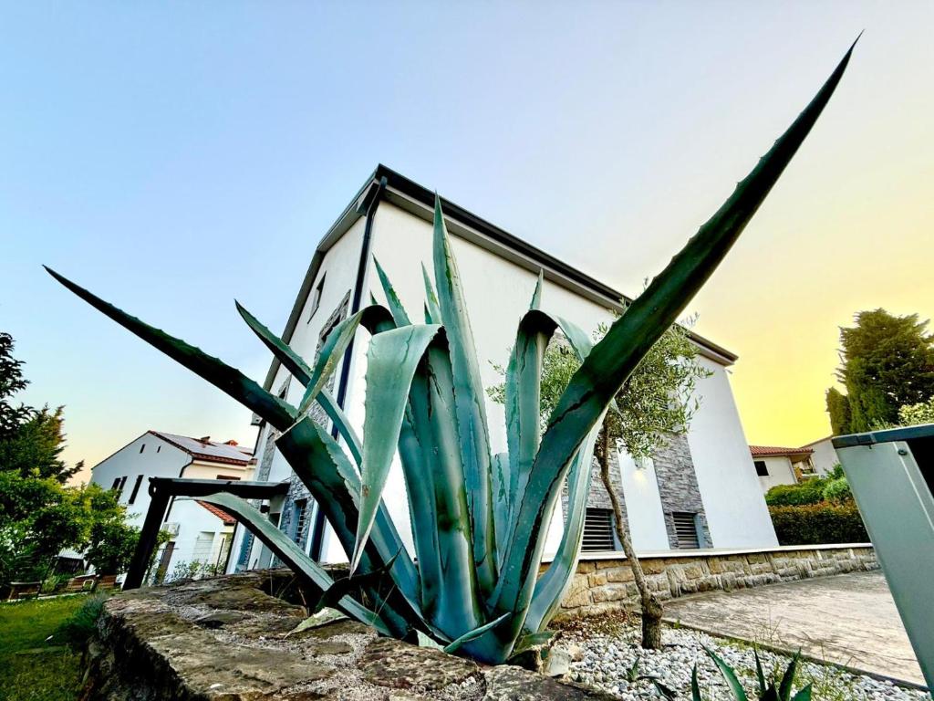 Zahrada ubytování Apartma Lavanda Portorož