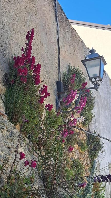 Fotografie z fotogalerie ubytování AL BELVEDERE v destinaci Acerenza