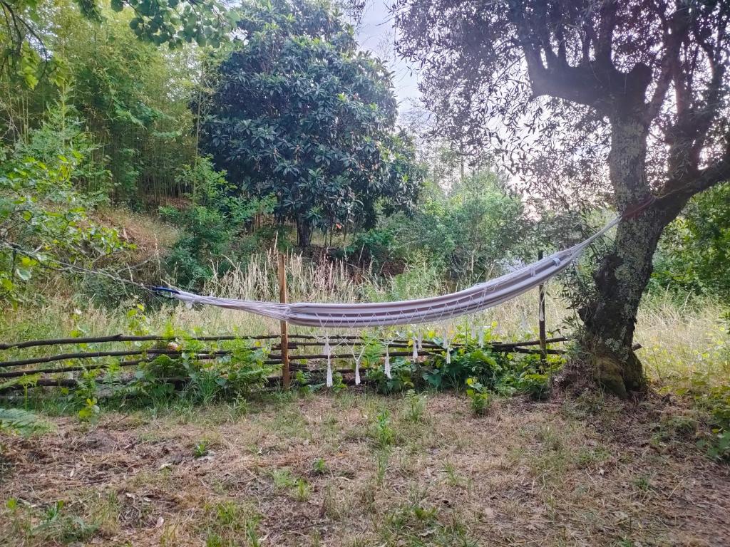 Zahrada ubytování Quinta dos Covões