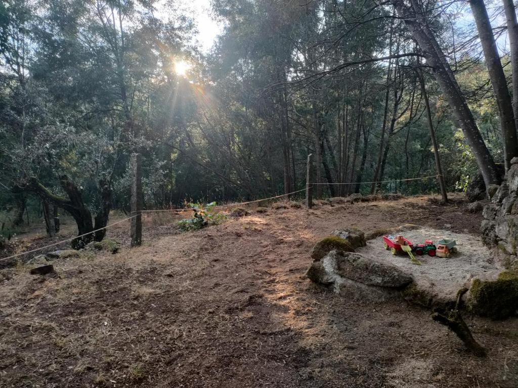 Zahrada ubytování Quinta dos Covões